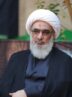 آیت الله صفایی بوشهری: آقای پزشکیان! توجه به فرهنگ راهبردی است آیت الله صفایی بوشهری: آقای پزشکیان! توجه به فرهنگ راهبردی است