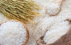 ریزش قیمت برنج نزدیک است؟ | برای خرید برنج فعلا دست نگه دارید