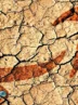 فاجعه شدت گرفت ؛ سقوط ذخایر آبی بحران آفرید فاجعه شدت گرفت ؛ سقوط ذخایر آبی بحران آفرید
