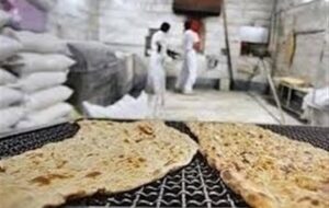 دولت اسیر استدلال‌های غلط مدافعان حذف یارانه نان نشود