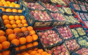 عدم توقف صادرات محصولات کشاورزی در شرایط جنگی عدم توقف صادرات محصولات کشاورزی در شرایط جنگی