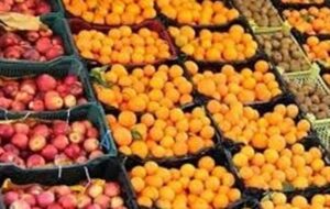 تداوم عرضه سیب و پرتقال تنظیم بازاری