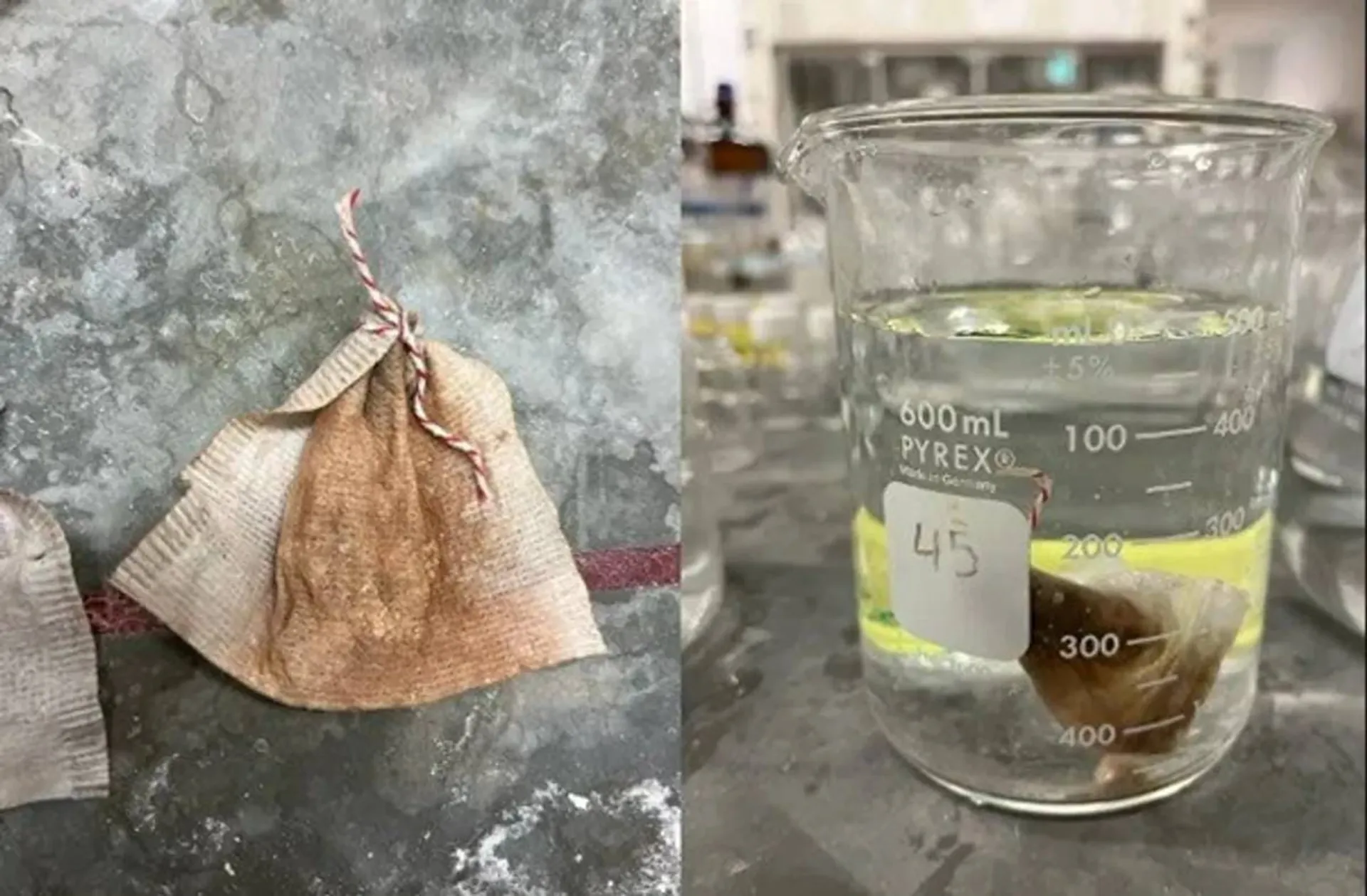 دانشآموز دبیرستانی راهحلی کمهزینه برای حذف آرسنیک از آب ابداع کرد کیسه چای حذف کننده آلودگی آب