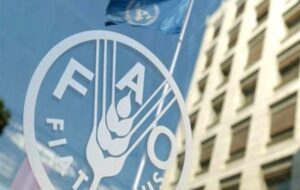 رشد 2.4 درصدی قیمت جهانی غذا در یک ماهه جنگ آمریکا علیه ایران
