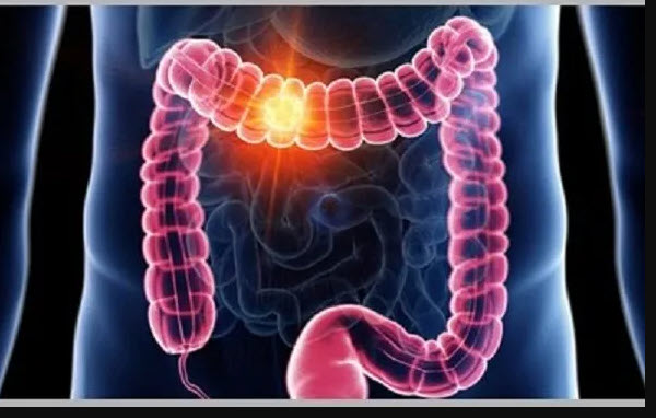 اخبار،اخبار جدید،اخبار روز اخبار،اخبار جدید،اخبار روز