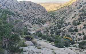 خانواده نخستین مدرسه برای حفاظت از محیط زیست است