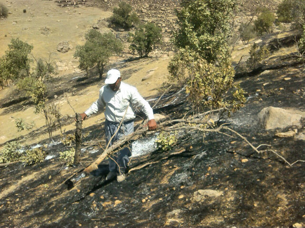لرستان و معادله پیچیده تابستان؛ حریقهایی که همه منشأ انسانی دارند لرستان و معادله پیچیده تابستان؛ حریقهایی که همه منشأ انسانی دارند