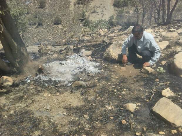 لرستان و معادله پیچیده تابستان؛ حریقهایی که همه منشأ انسانی دارند لرستان و معادله پیچیده تابستان؛ حریقهایی که همه منشأ انسانی دارند