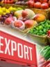 خودتحریمی؛ قاتل صادرات کشاورزان| کشاورزی؛ قربانی ناهماهنگی دستگاه‌ها